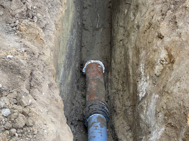 Best Flood restoration services  in Boiling Spring Lakes, NC