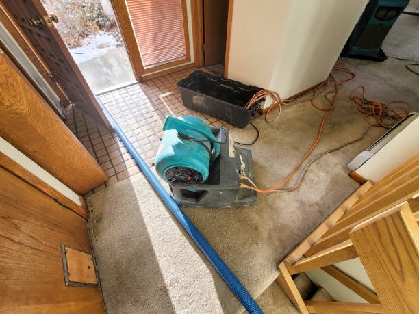 Best 24-hour water damage restoration  in Boiling Spring Lakes, NC