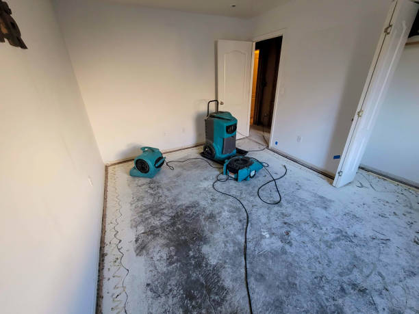 Best Flood damage cleanup  in Boiling Spring Lakes, NC