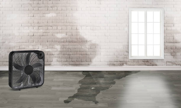Best Commercial water damage restoration  in Boiling Spring Lakes, NC