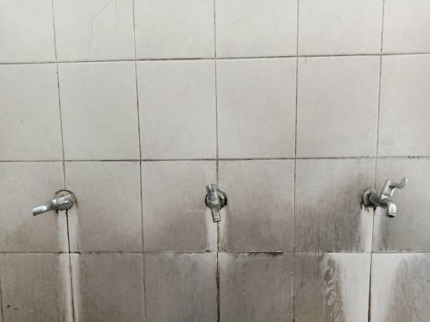 Best 24/7 water damage repair  in Boiling Spring Lakes, NC