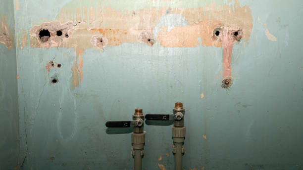 Best Sewage cleanup and water damage restoration  in Boiling Spring Lakes, NC