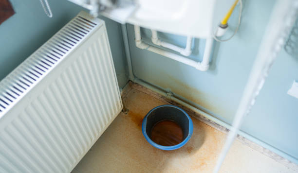  Boiling Spring Lakes, NC Water damage restoration Pros