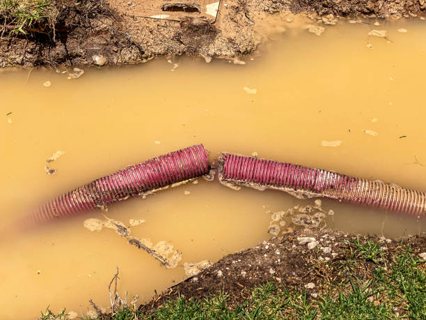 Best Water damage restoration near me  in Boiling Spring Lakes, NC