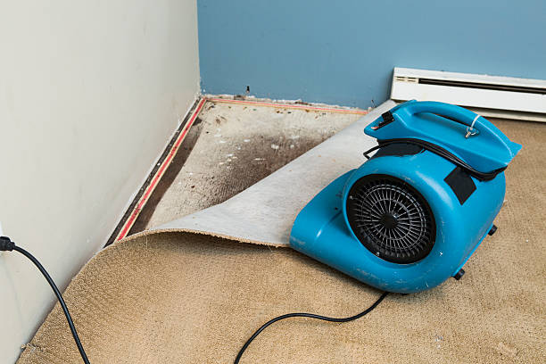 Best Basement water damage restoration  in Boiling Spring Lakes, NC